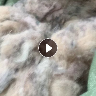 长期出售磨毛厂下来的杂色涤纶磨毛料，毛毛料，干的，可造粒