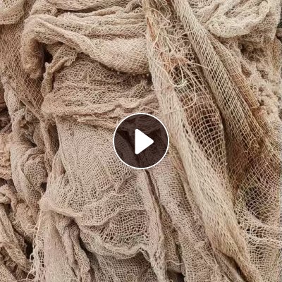 长期出售化纤网套，涤纶布，现货五六十吨