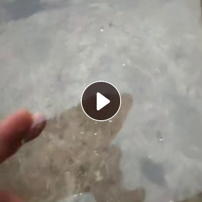 出售透明PET膜，月供200吨左右