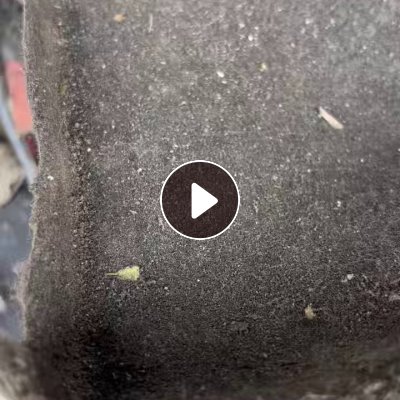 出售拆解厂下来的汽车脚垫等废料