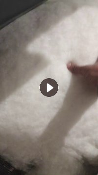 长期出售提净棉，车肚破籽棉开出来的，还有土库曼斯坦的短绒提净的，每个月200吨，货在山东滨州