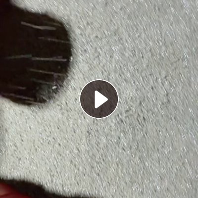 出售一级高压颗粒，吹膜用，现货10吨，月供100来吨