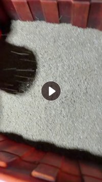 出售一级高压颗粒，吹膜用，现货10吨，月供100来吨