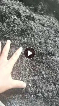 出售PA66刨丝，黑色尼龙刨丝，现货60多个吨包袋，还有20多袋加纤的