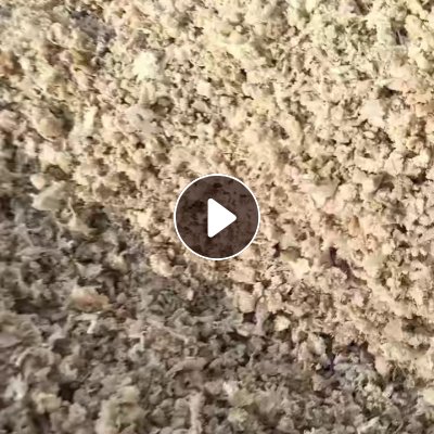 出售锂电池隔膜破碎清洗后经过单螺杆挤出后破碎料