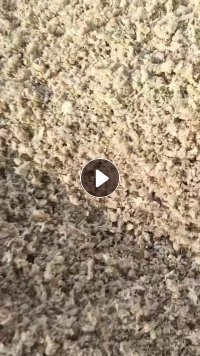 出售锂电池隔膜破碎清洗后经过单螺杆挤出后破碎料