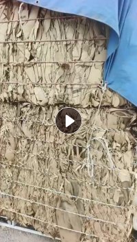 长期出售无膜牛卡纸边角料，大部分俄卡