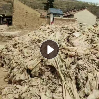出售旧地膜1400吨，种玉米下来的