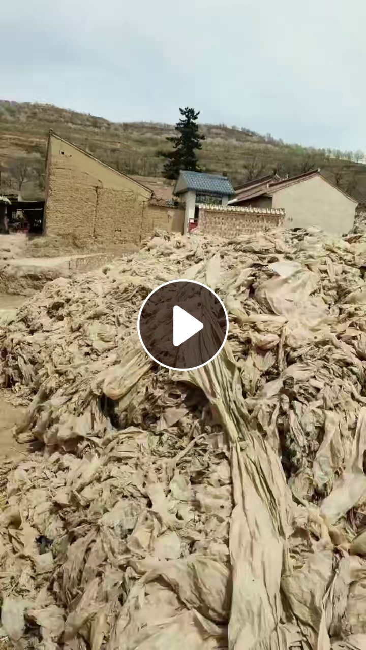 出售旧地膜1400吨，种玉米下来的