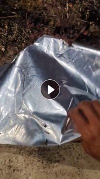 长期出售纸铝复合料，一面纸，一面镀铝膜