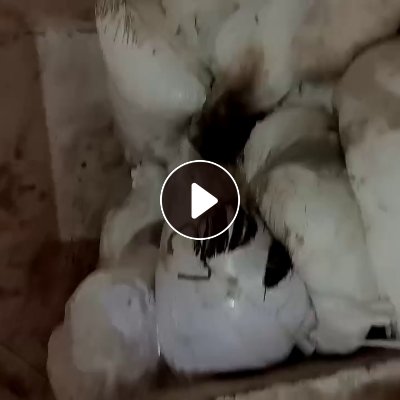 长期出售染厂下来的白色废布，有麻纱废布，氨纶废布，含水量40，统货出，月供30吨