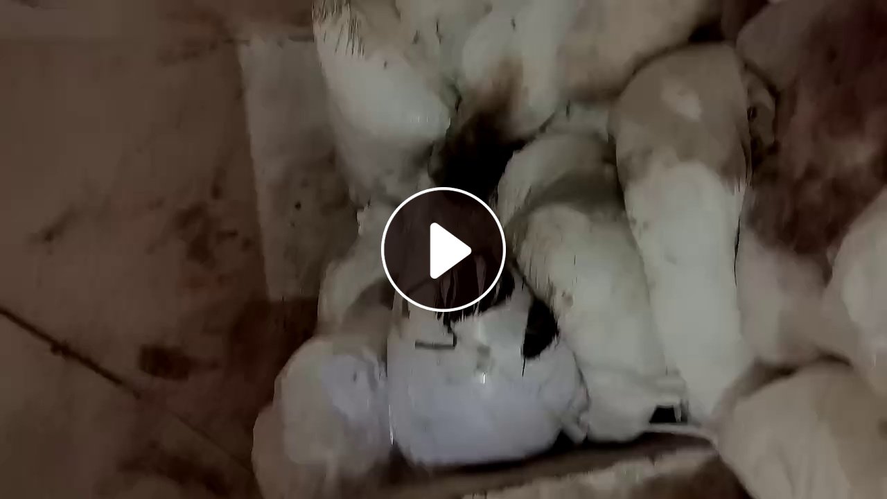 长期出售染厂下来的白色废布，有麻纱废布，氨纶废布，含水量40，统货出，月供30吨