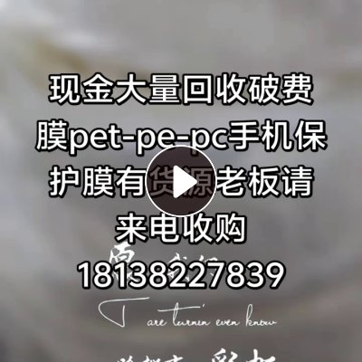 求购pet膜、pet带胶膜