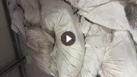 长期出售染厂下来的涤纶废布，含水20左右，月供30吨