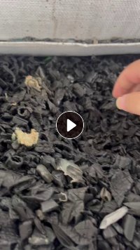 求购废光缆线，交联电缆皮破碎料（纯黑，彩色）
