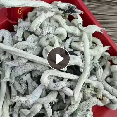 出售鞋厂下来的EVA鞋料，有带橡胶底和纯EVA的，黑色，白色，杂色全部已区分开