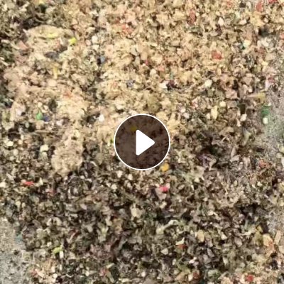 出售烧火料，现货上千吨，急出，价格可议