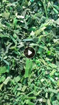 出售水洗PET打包带破碎料