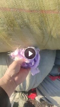 长期出售浅三色珊瑚绒废布，涤纶废布，现货四五十吨