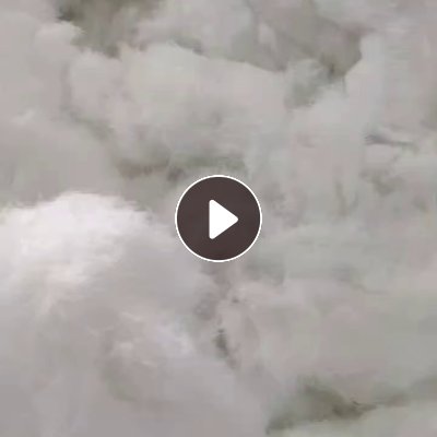 长期出售剪毛厂剪下来的白色涤纶废丝，涤纶短毛，含水，现货有30-40吨