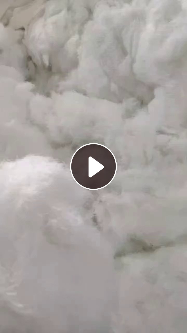 长期出售剪毛厂剪下来的白色涤纶废丝，涤纶短毛，含水，现货有30-40吨