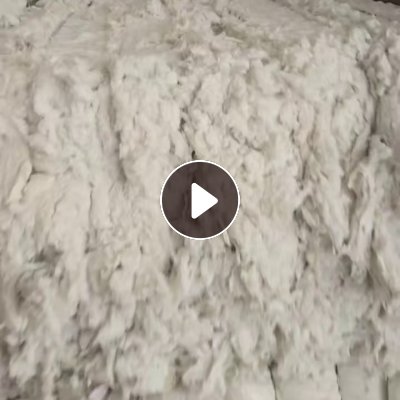 长期出售本白涤棉开花棉，开松棉，含棉50左右，现货一车6.8