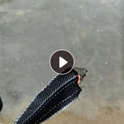 长期出售涤棉牛仔废布，牛仔废布，棉含量在80 90 95，现货有2车9米6，货在湖南衡阳