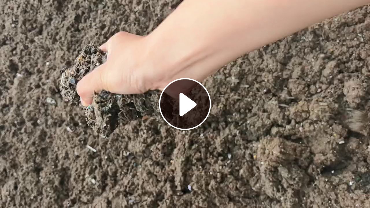 出售洗皮浆，干度24左右，一天两半挂