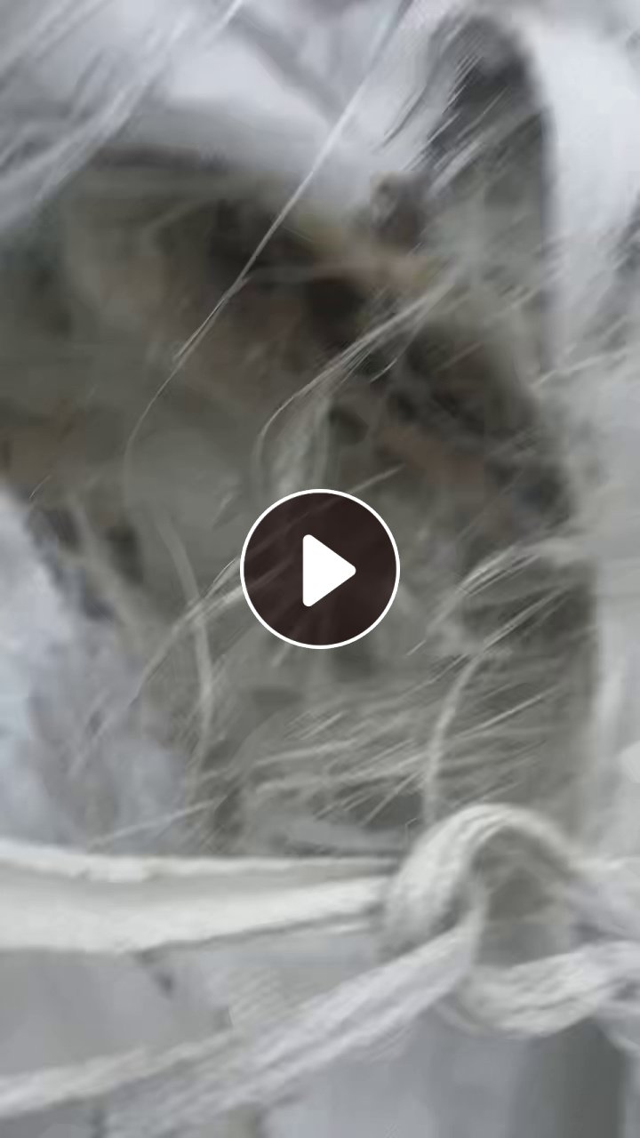 出售各种PET料，PET机头料，PET块料，每个月30吨