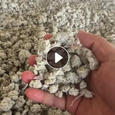 出售pet泡料，pet缠绕膜打的，现货60吨