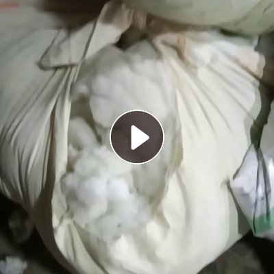 长期出售丝棉下脚料，丝棉边角料，娃娃棉也在里面，不带皮，在山东东营。