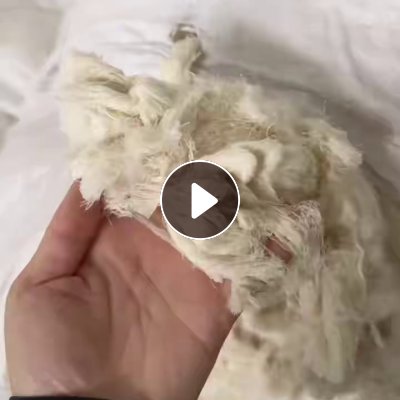 长期出售浆纱厂下来的气纺纯棉废丝，纯棉长丝，纯棉回丝，货量足，在山东潍坊。