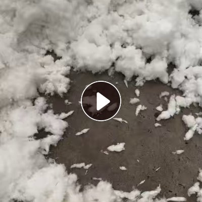 长期出售剪毛机下来的涤纶废毛，涤纶废丝，含水分，现货十多吨