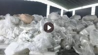 长期求购大量干造PP膜，厂货下脚料
