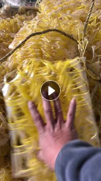 出售OPP复合膜，现货10吨