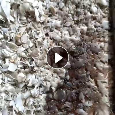 长期出售水洗PET吸塑盒破碎料