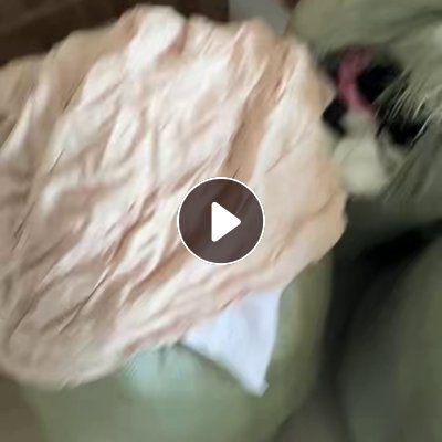 处理一批有瑕疵的衣服，全新的，货在浙江金华