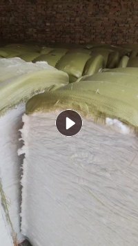 长期出售旧衣服大白开的大白棉，大白开花棉，现货9.6米一车