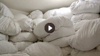长期出售纯棉床单被罩，酒店布草，现货有10多吨，货在四川成都