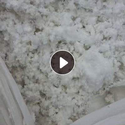 长期大量出售含水分的涤纶磨毛料，毛毛料