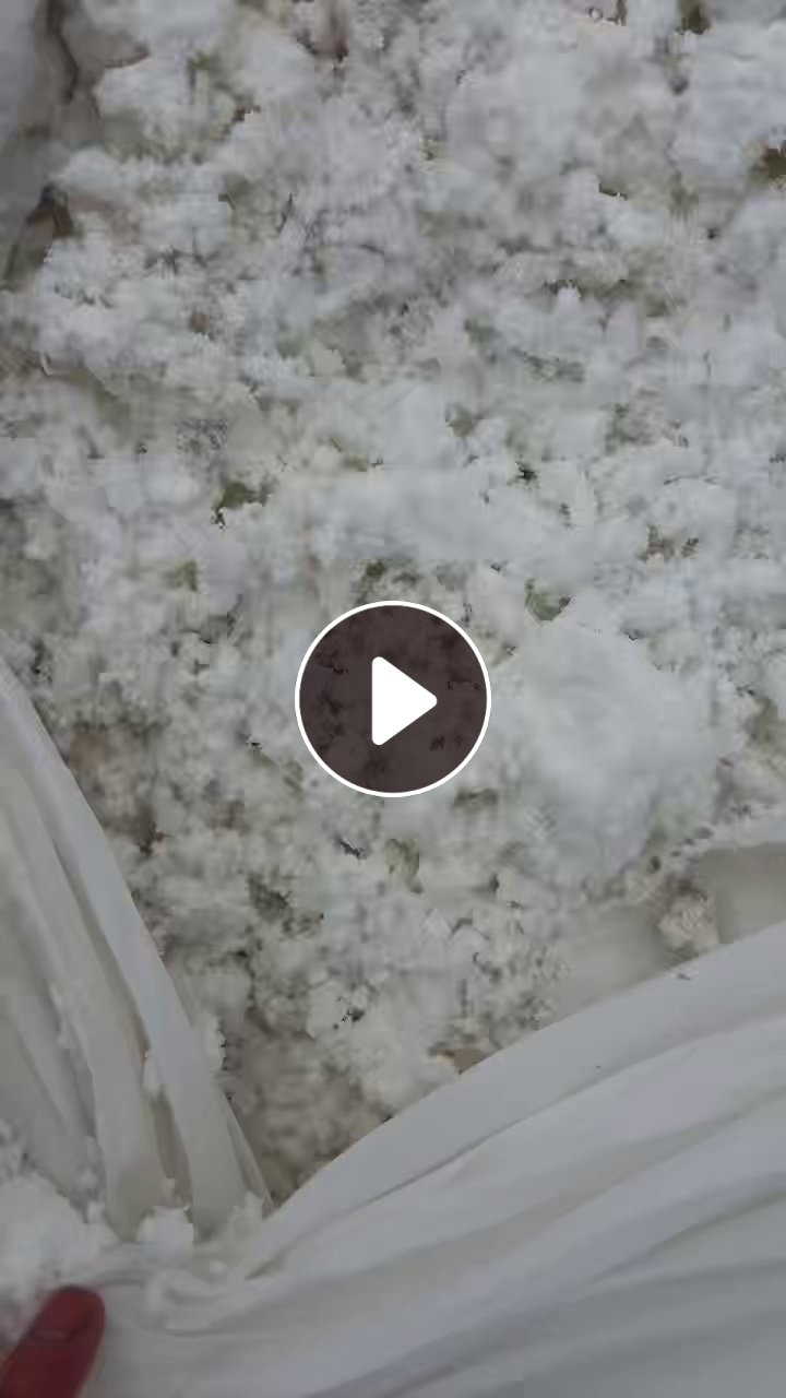 长期大量出售含水分的涤纶磨毛料，毛毛料
