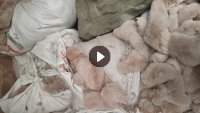 长期供应服装碎料和地毯厂废料，有纯涤纶的，也有纯氨纶的，每个月100吨左右