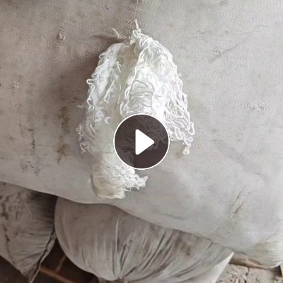 厂家长期出售白色涤纶废丝，涤纶低弹丝，涤纶干丝，货在山东临沂