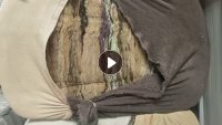 长期出售开松好的旧丝棉，开花棉，丝棉，现货15吨左右