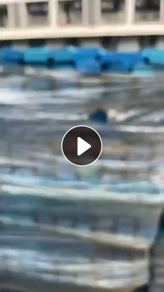 出售新能源汽车周转筐，有纯ABS和PC/ABS合金两种，现货300吨