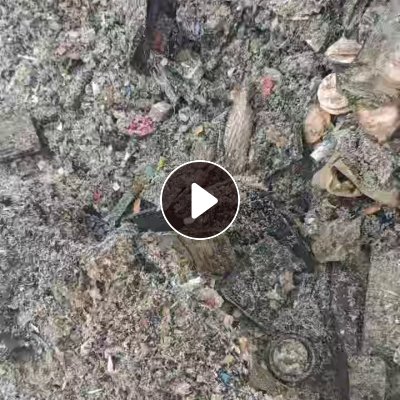 出售火烧过的塑料混合料，有PP,ABS等，炼油用，价格50元/吨