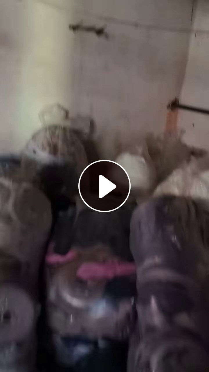 长期出售切边条厂下来的涤纶废布，涤纶下脚料