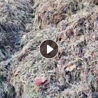 长期出售水洗纸厂废料，可炼油，现货几百吨，价格实在，给钱就卖