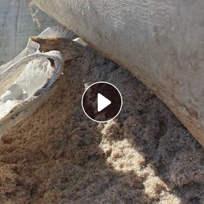 出售破碎下来的塑料渣，PET占80%左右