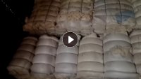 长期出售环锭纺纯棉布边纱，精纺纯棉边，月供100吨